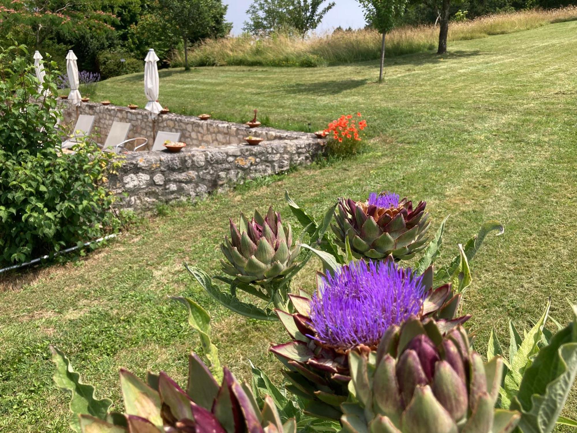 La Bastide Portoly B&B Pruneaux Penne-dʼAgenais Extérieur photo